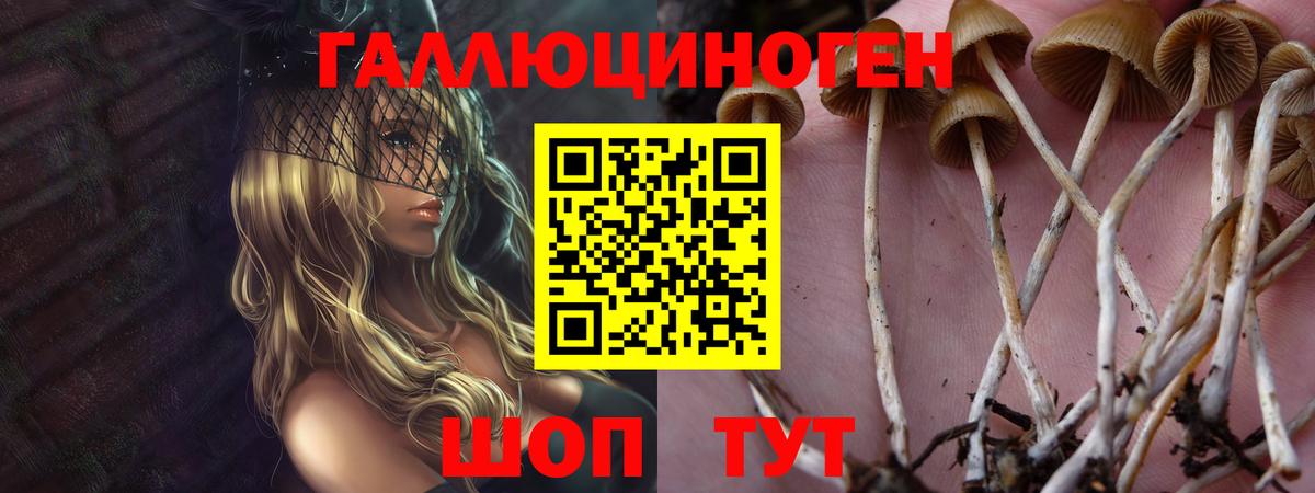 Калуга  Галлюциногенные грибы Psilocybe  Вход с VPN 
