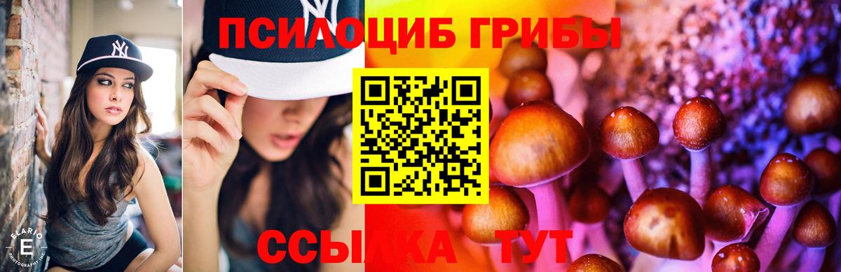 Галлюциногенные грибы Psilocybine cubensis Калуга